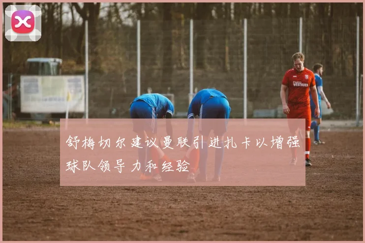 舒梅切尔建议曼联引进扎卡以增强球队领导力和经验